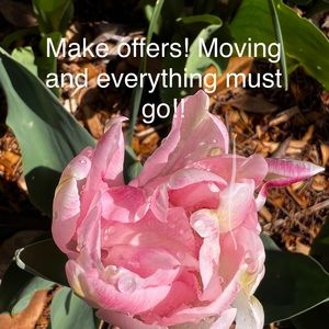 Moving! Make offers!